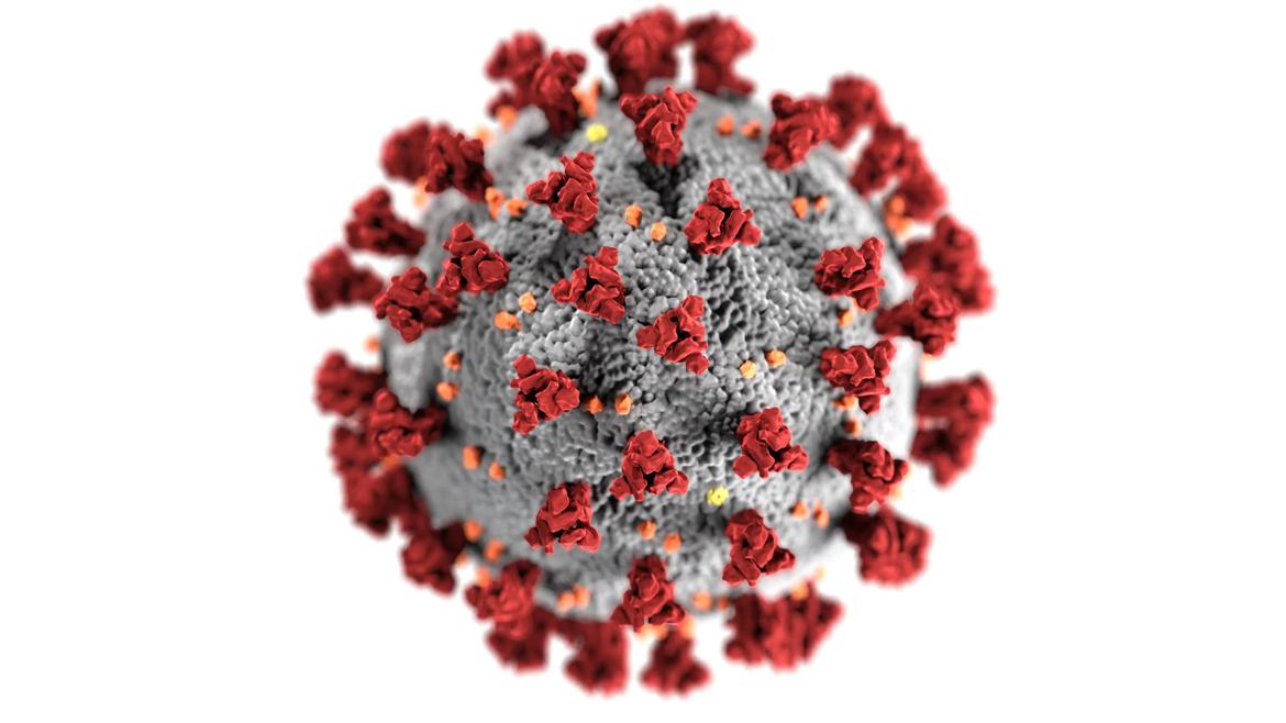 Closeup of a virus